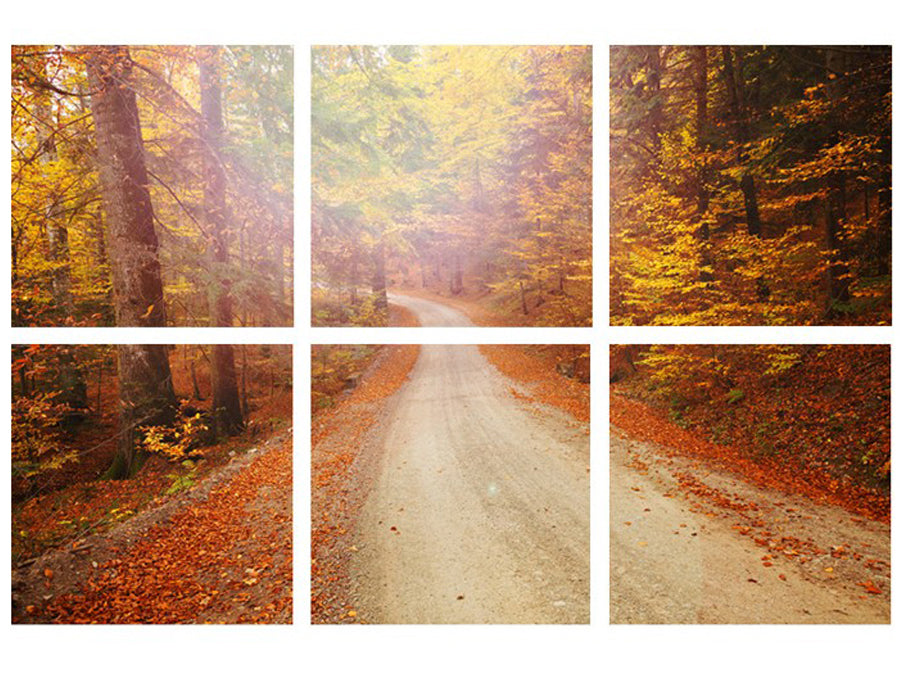 Autumn Leaves on Winding Road Scene 40x40x1.8cm - Set/6