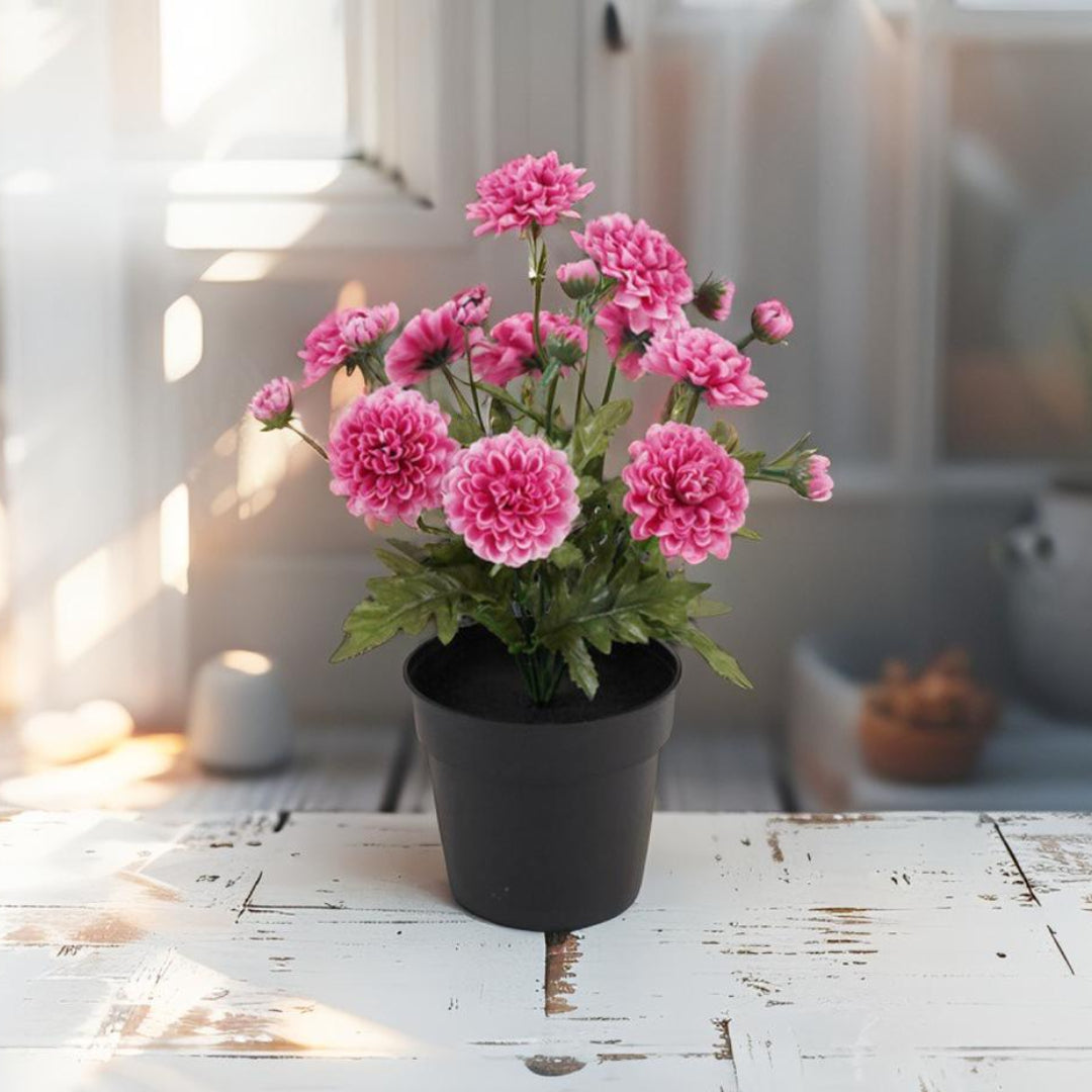 Potted Artifical Pink 'Mum' Chrysanthemum 20z20x27cm