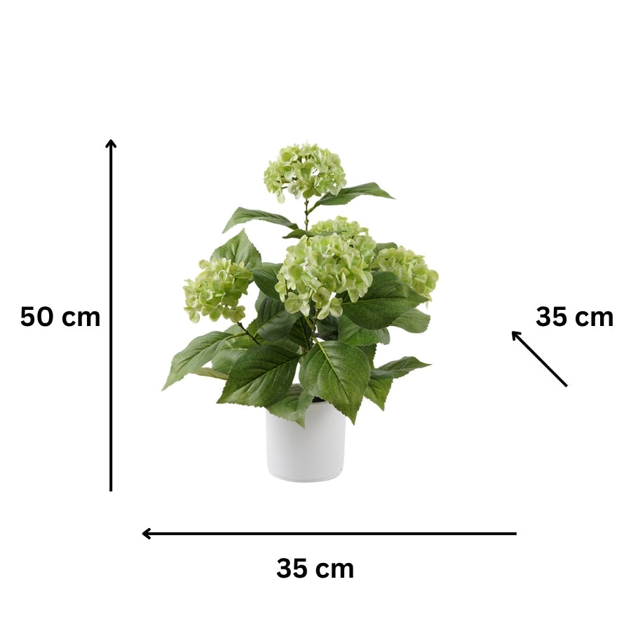 Potted Artificial Green Hydrangea 35x35x50cm