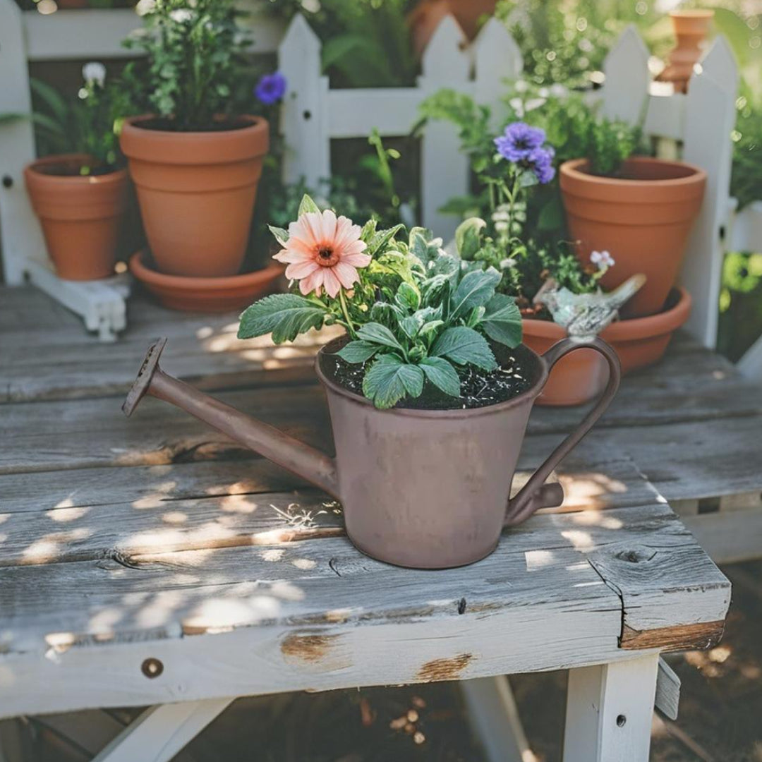 Watering Can Shape Potplanter w/Blue Flower 28x13x15cm