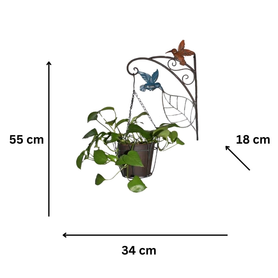 Hanging Potplanter w/Pot + Wall Bracket + Hummingbirds 34x18x55cm