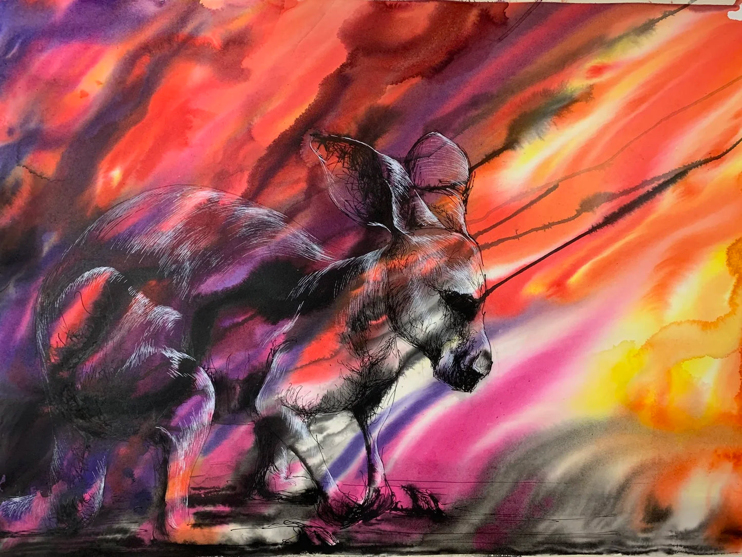 Kangaroo - Bushfire Scene