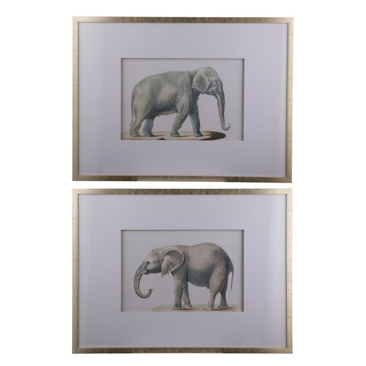 Set Of 2 Elephant Framed Prints. Adult Elephant Framed Prints. Quality Frames. Ready To Hang.