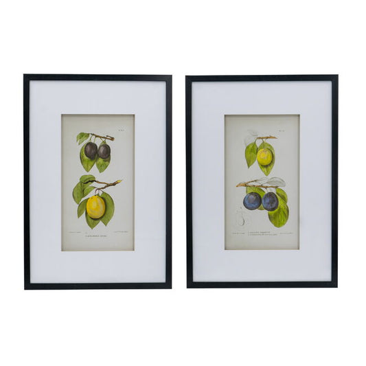 Botanical Wall Décor Set Of 2