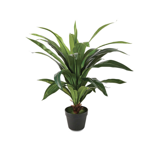 Dracaena Artificial Plant