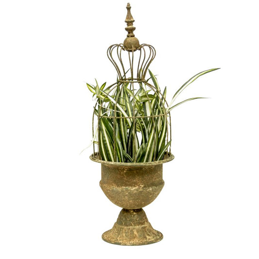 Vintage Style Elaborate Tall Cloche 22x22x61cm