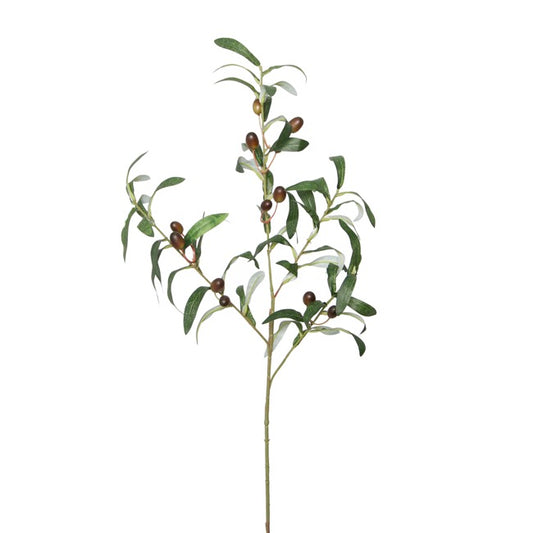 Olive Branch Spray Green - 70cmH
