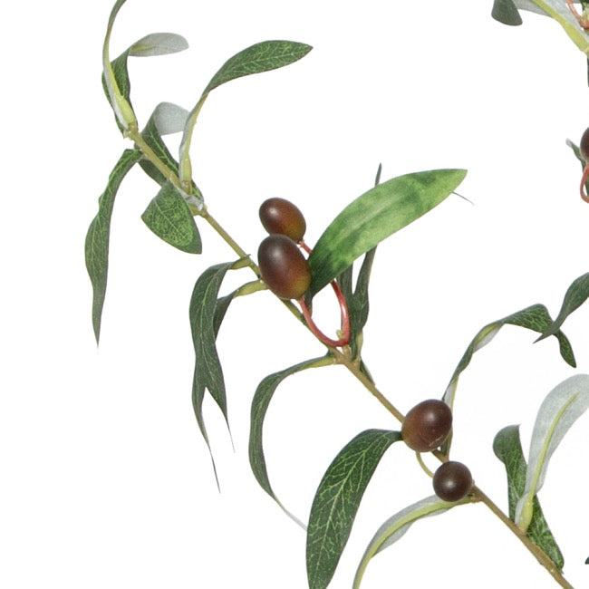 Olive Branch Spray Green - 70cmH