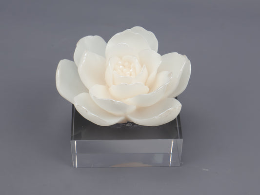 86D Resin Floral W/ Acrylic Base : Pearl Lotus