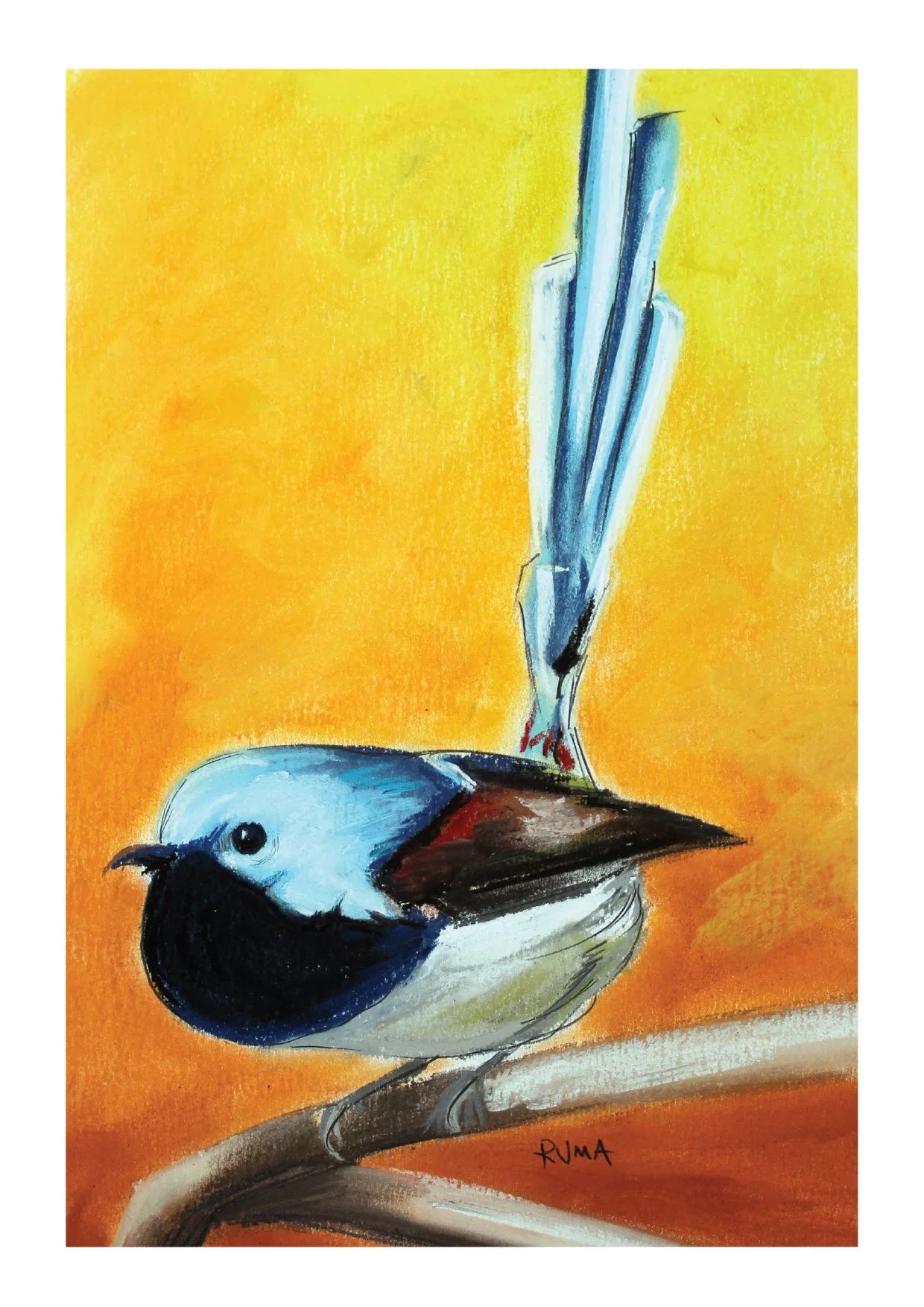 Blue Wren