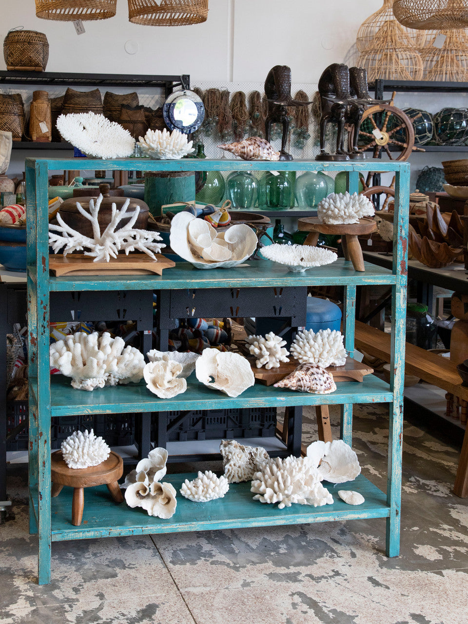 Bookcase / Shelves #4441