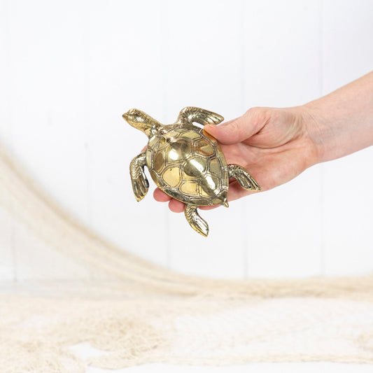 Turtle Shiny (M) #0370S