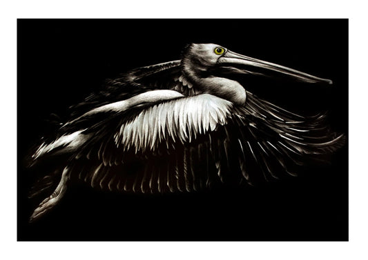 Flight Pelican