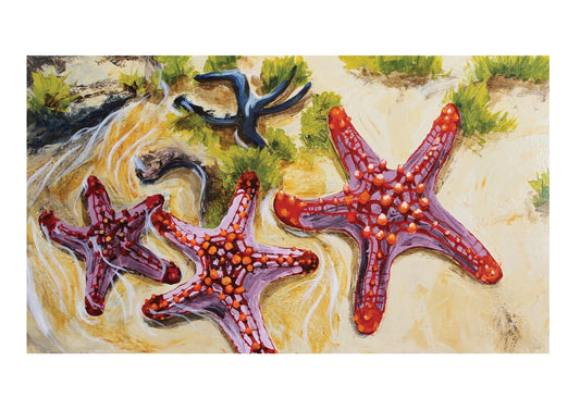 Starfish