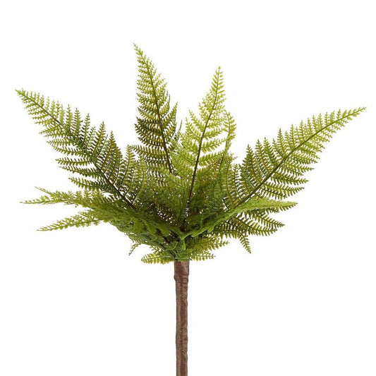 Small Native Fern Green