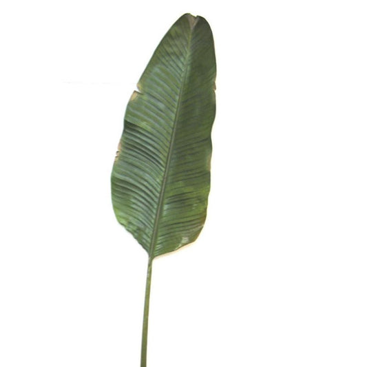 Banana Leaf 1.7M Green