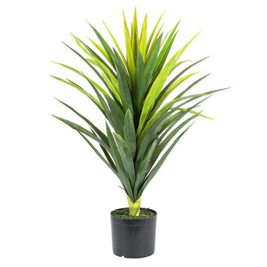 Yucca Plant In Pot 86Cm