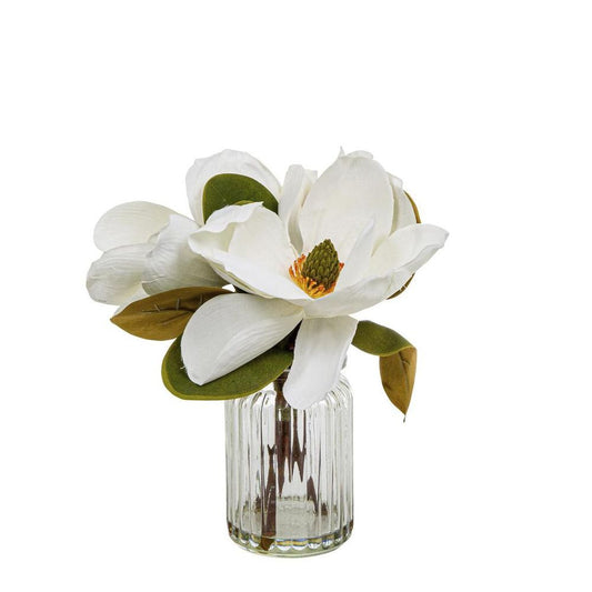 Magnolia In Glass Vase 30Cm White