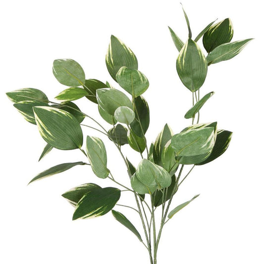 Variegated Leaf Spray 120Cm