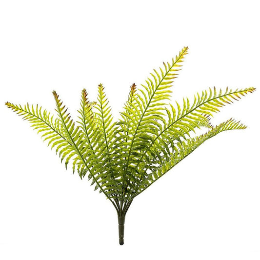 Fern Bush 50Cm