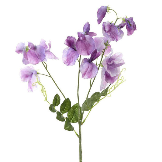 Sweetpea Spray 70Cm Lavender