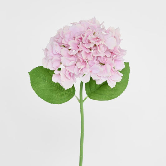 アジサイ ステム ソフトタッチ 50cm ミッドピンク