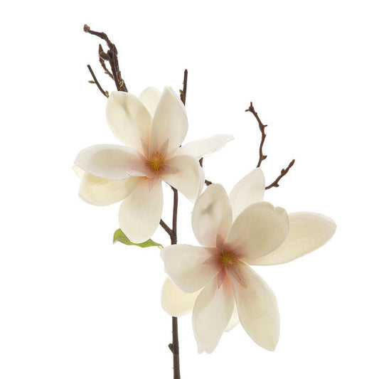 Magnolia Stem 70Cm White