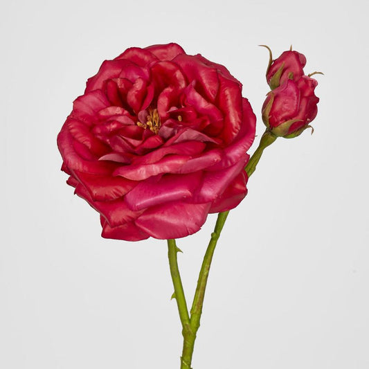 Real Touch Angelina Rose Spray Dark Pink