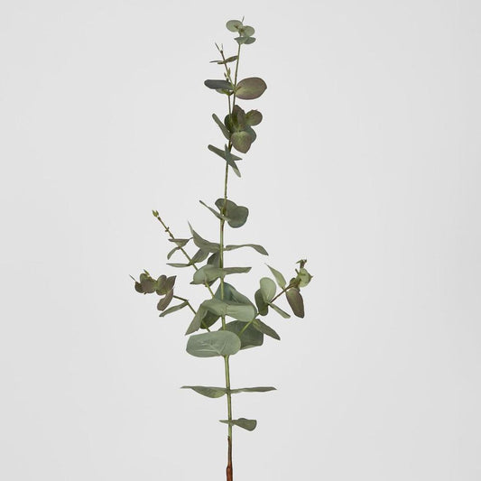 Eucalyptus Spray 74Cm Dark Green