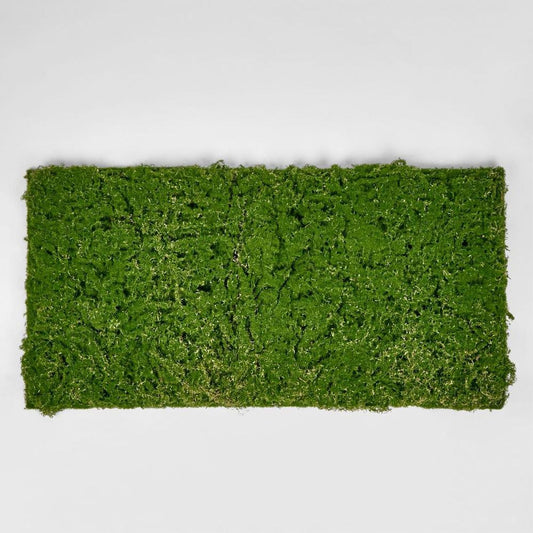 Moss Mat 100X50Cm
