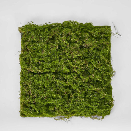 Moss Mat 40X40Cm