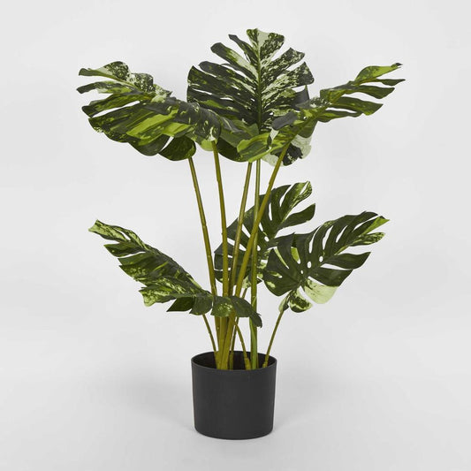 Variegated Real Touch Monstera 75Cm