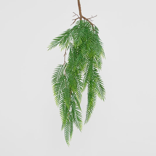 Hanging Pitch Pine Bush