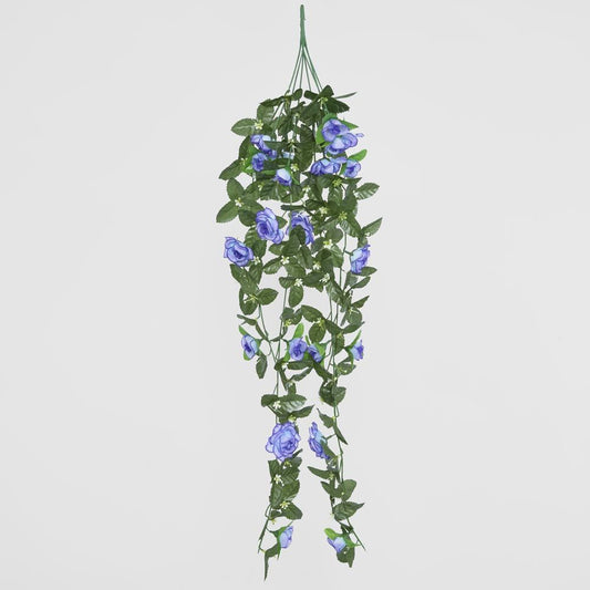 Hanging Roses