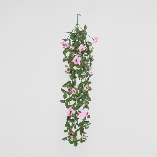 Hanging Roses