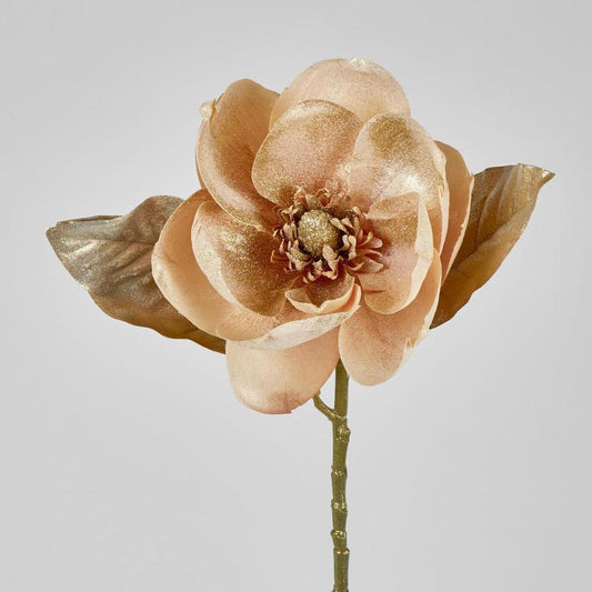 香槟色带香槟金闪光圣诞木兰(3 片叶子)