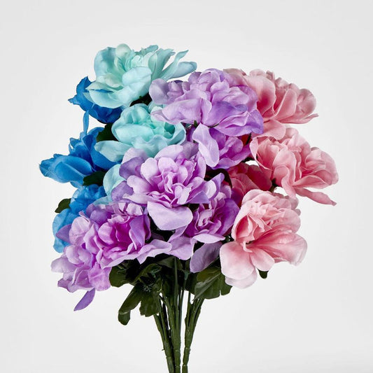 Dahlia Bush Sold In Box Qty Only