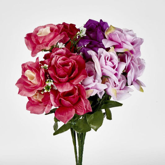 Rose Bush Sold In Box Qty Only