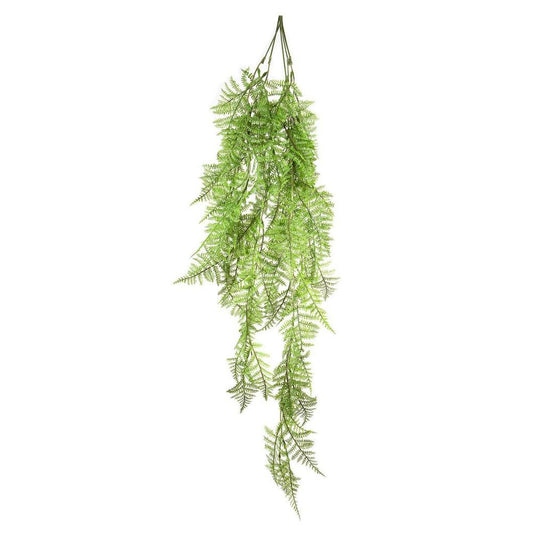 Boston Fern Hanging 1.1M