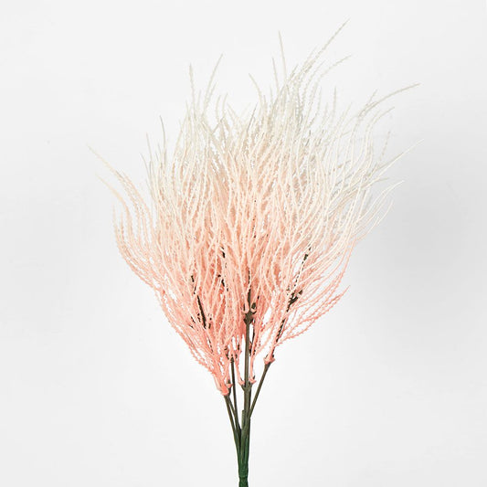 Cream Pink Seed Bush