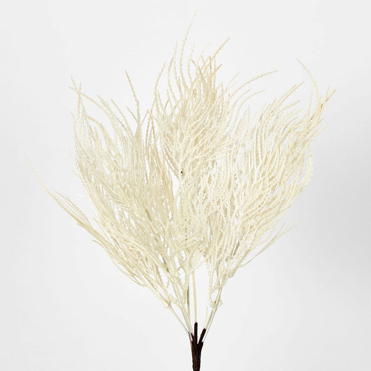 Cream Beige Grass Seed Bush Pampass