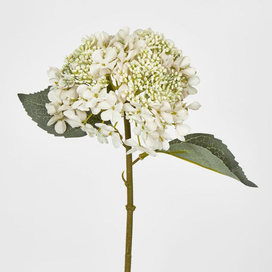 White Short Stem Hydrangea