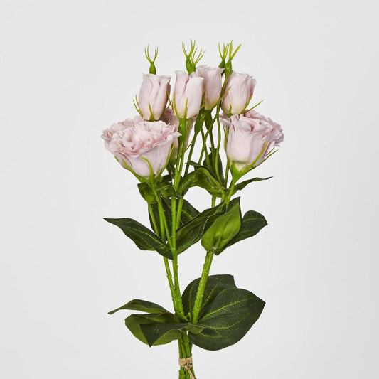 Light Pink Lisianthus Bundle By 5 Flower And Bud