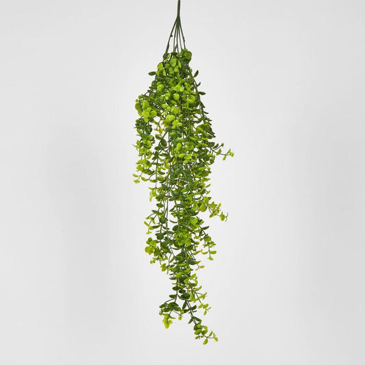 Hanging Greenery