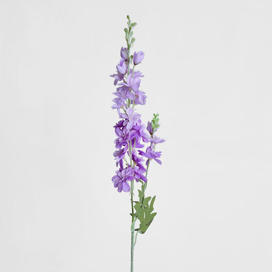 White Delphinium