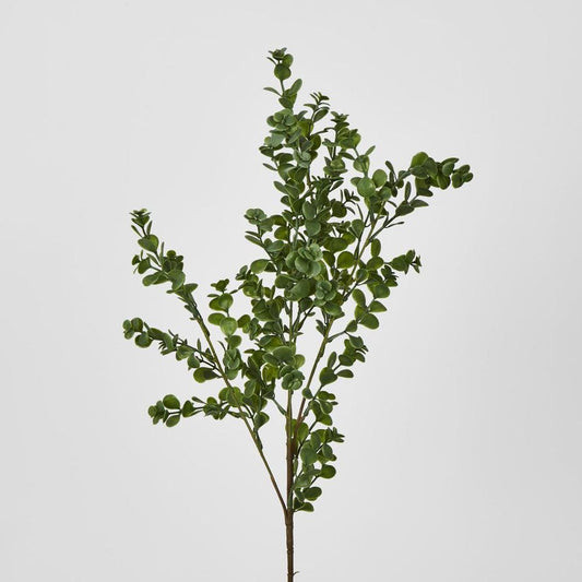 Light Green Boxwood Spray