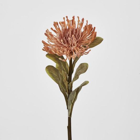 Peach Leucospermum