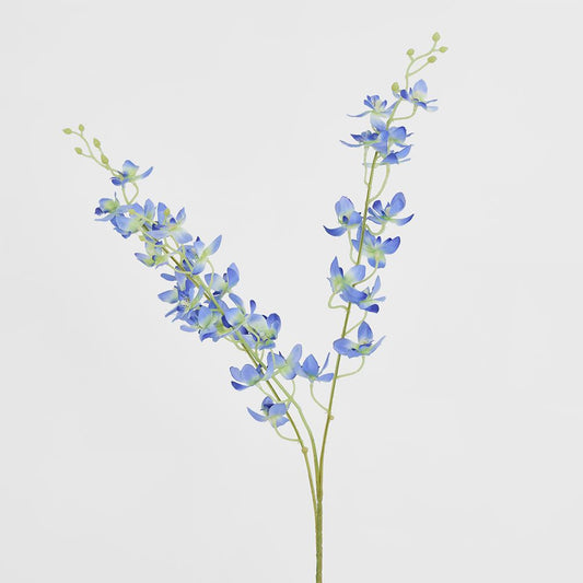 Blue Dendrobium Spray