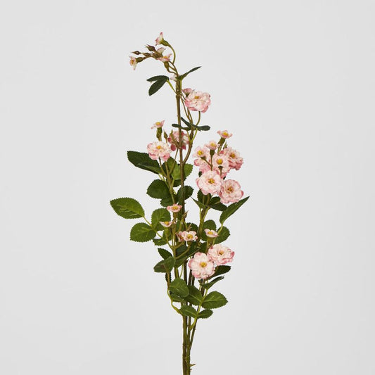 Pink Burma Rose Spray