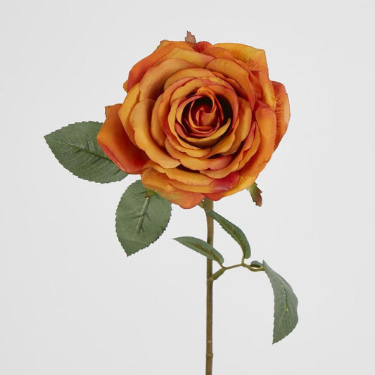 Yellow Gold Rose 63Cm